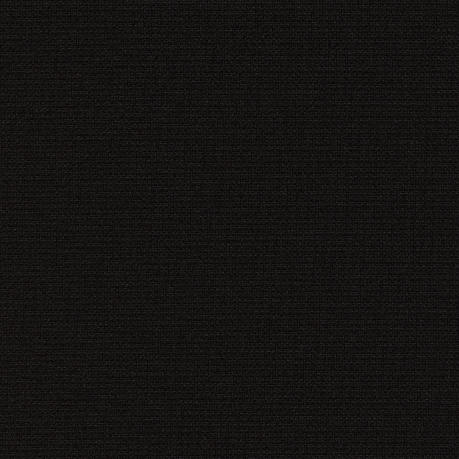 Canvas Black - 31601